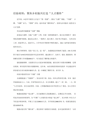 经验材料：聚焦乡村振兴 打造“人才雁阵”.docx