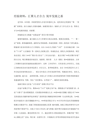经验材料：汇聚人才合力 筑牢发展之基.docx