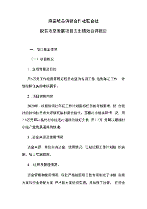 麻栗坡县供销合作社联合社脱贫攻坚发展项目支出绩效自评报告.docx