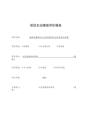 项目支出绩效评价报告.docx