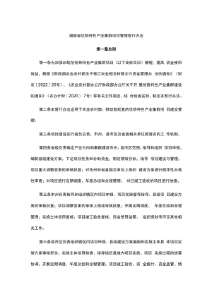 湖南省优势特色产业集群项目管理暂行办法.docx