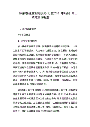 麻栗坡县卫生健康局汇总2021年项目支出绩效自评报告.docx