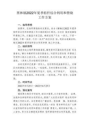 黑林镇2022年夏季秸秆综合利用和禁烧工作方案.docx