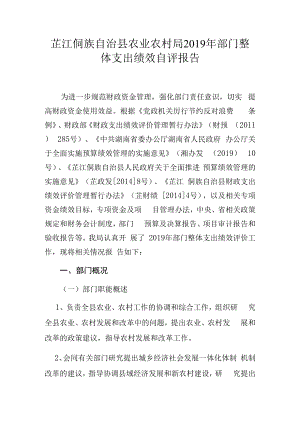 芷江侗族自治县农业农村局2019年部门整体支出绩效自评报告.docx