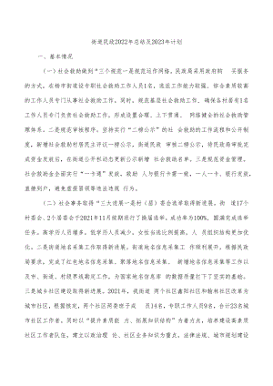 街道民政2022年总结及2023年计划.docx