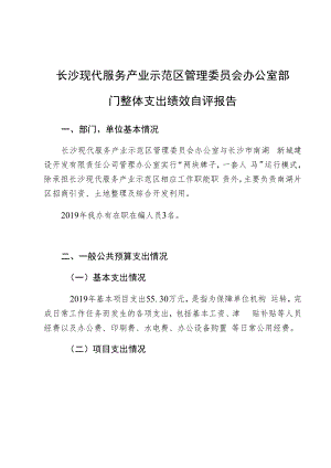 长沙现代服务产业示范区管理委员会办公室部门整体支出绩效自评报告.docx