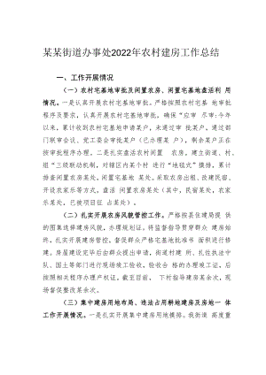 某某街道办事处2022年农村建房工作总结.docx
