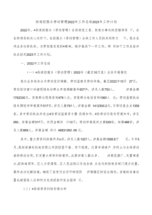 街道经服办劳动管理2022年工作总结2023年工作计划.docx