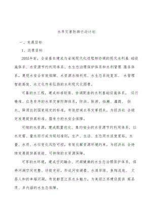 水旱灾害防御行动计划.docx