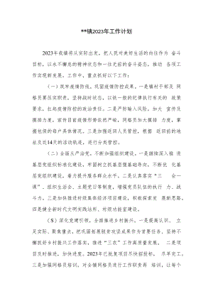 某镇2023年工作计划.docx