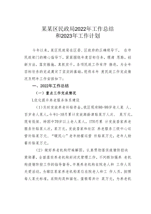 某某区民政局2022年工作总结和2023年工作计划.docx