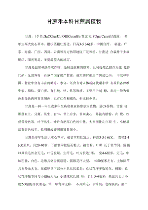 甘蔗 禾本科甘蔗属植物.docx