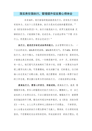 落实责任强执行管理提升促发展心得体会.docx
