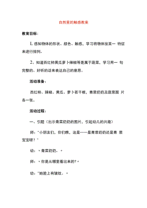 自然里的触感教案.docx