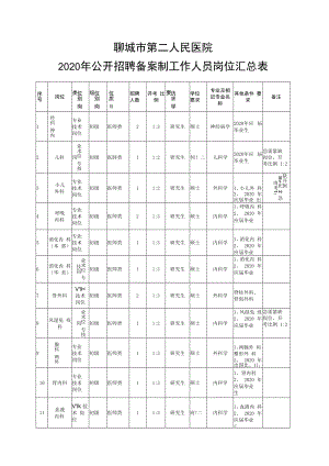 聊城市第二人民医院2020年公开招聘备案制工作人员岗位汇总表.docx