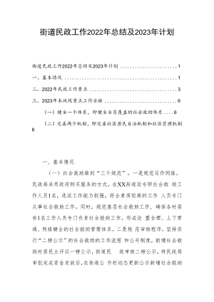 街道民政工作2022年总结及2023年计划.docx