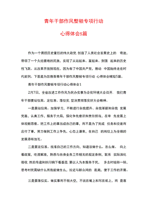 青年干部作风整顿专项行动心得体会范文5篇.docx