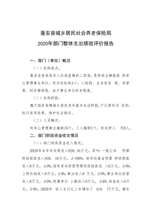 蓬安县城乡居民社会养老保险局2020年部门整体支出绩效评价报告.docx