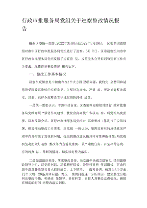 行政审批服务局党组关于巡察整改情况报告.docx