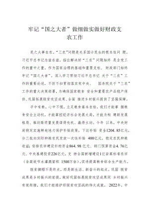 牢记“国之大者” 做细做实做好财政支农工作.docx