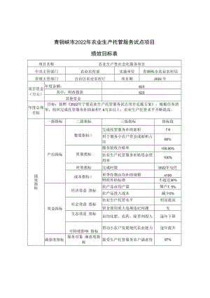 青铜峡市2022年农业生产托管服务试点项目绩效目标表.docx