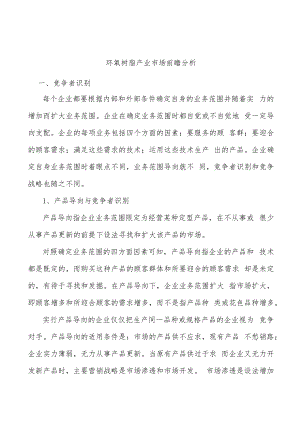 环氧树脂产业市场前瞻分析.docx