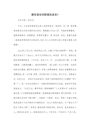 新任县长任职表态发言2篇.docx