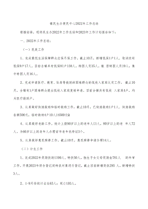 镇民生办便民中心2022年工作总结.docx