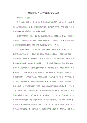 领导就职表态发言稿范文五篇.docx