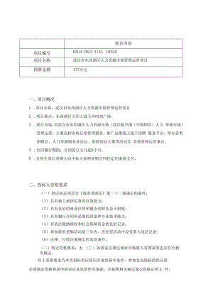 项目内容.docx