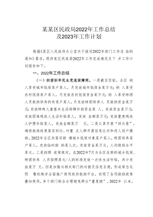 某某区民政局2022年工作总结及2023年工作计划.docx