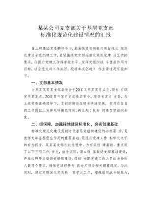 某某公司党支部关于基层党支部标准化规范化建设情况的汇报.docx