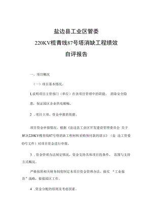 盐边县工业区管委220KV榄青线87号塔消缺工程绩效自评报告.docx