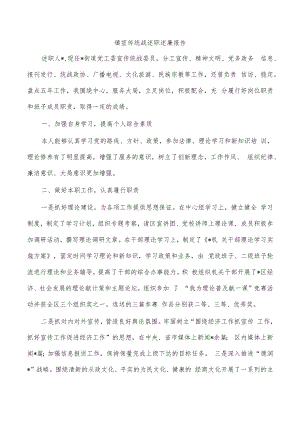 镇宣传统战述职述廉报告.docx