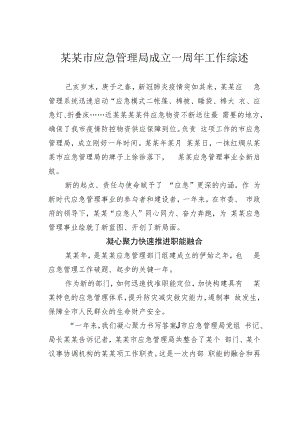 某某市应急管理局成立一周年工作综述.docx