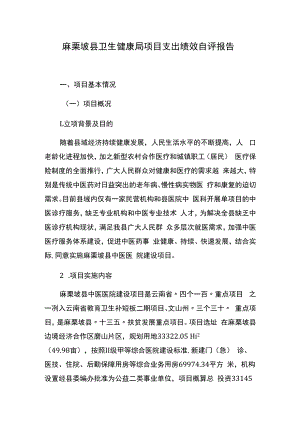 麻栗坡县卫生健康局项目支出绩效自评报告.docx