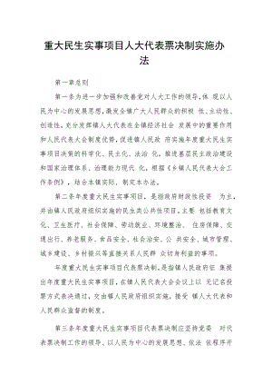 重大民生实事项目人大代表票决制实施办法.docx