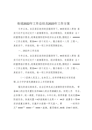 街道2022年工作总结及2023年工作计划.docx
