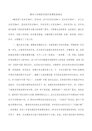 镇非公有制经济组织党建经验做法.docx