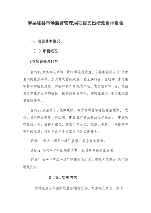 麻栗坡县市场监督管理局项目支出绩效自评报告.docx