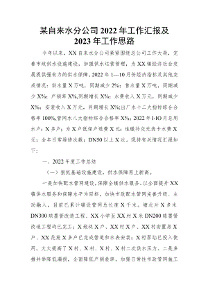 某自来水分公司2022年工作汇报及2023年工作思路.docx