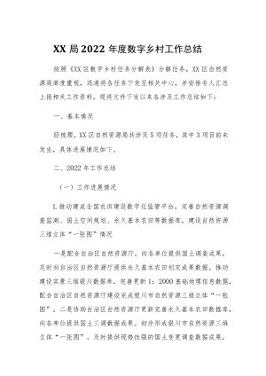 XX局2022年度数字乡村工作总结.docx