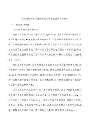 碱性电池产业深度调研及未来发展现状趋势分析.docx