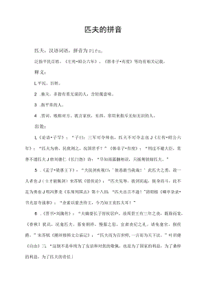 匹夫的拼音.docx