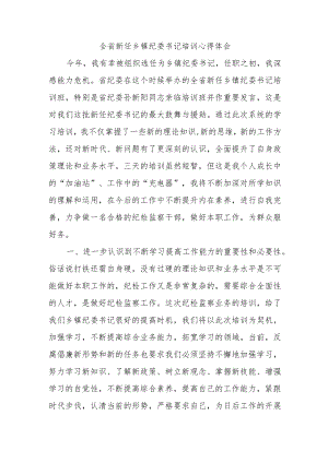 全省新任乡镇纪委书记培训心得体会.docx
