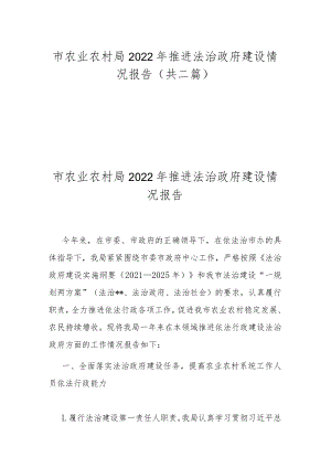 市农业农村局2022年推进法治政府建设情况报告(共二篇).docx