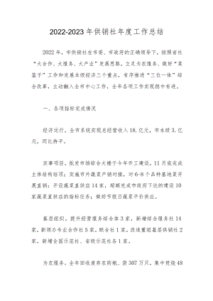 2022-2023年供销社年度工作总结.docx