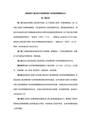 湖南省职工基本医疗保险慢特病门诊待遇保障管理办法-全文、附表及解读.docx