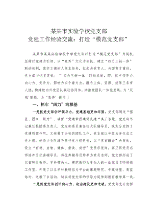 某某市实验学校党支部党建工作经验交流：打造“模范党支部”.docx