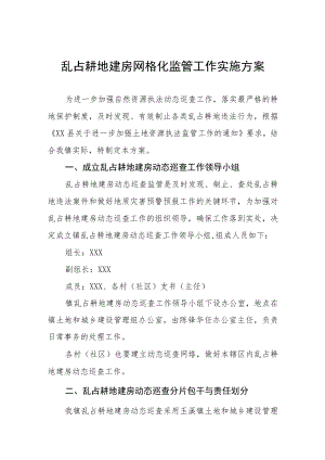 乱占耕地建房网格化监管工作实施方案.docx
